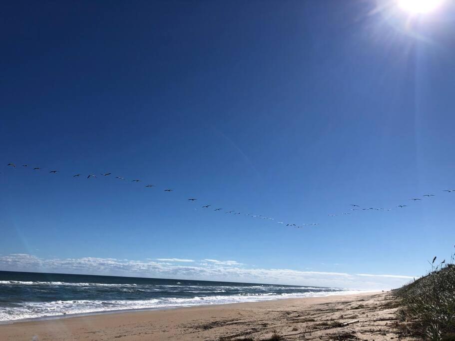 Zen Beach Retreat - Ocean View Townhouse -No Drive Beach New Smyrna Beach Bagian luar foto
