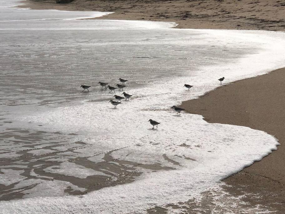 Zen Beach Retreat - Ocean View Townhouse -No Drive Beach New Smyrna Beach Bagian luar foto