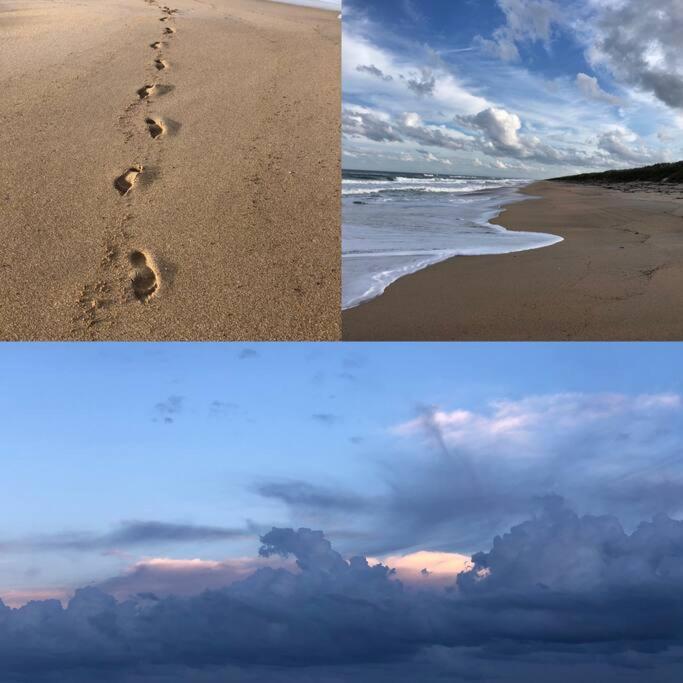 Zen Beach Retreat - Ocean View Townhouse -No Drive Beach New Smyrna Beach Bagian luar foto